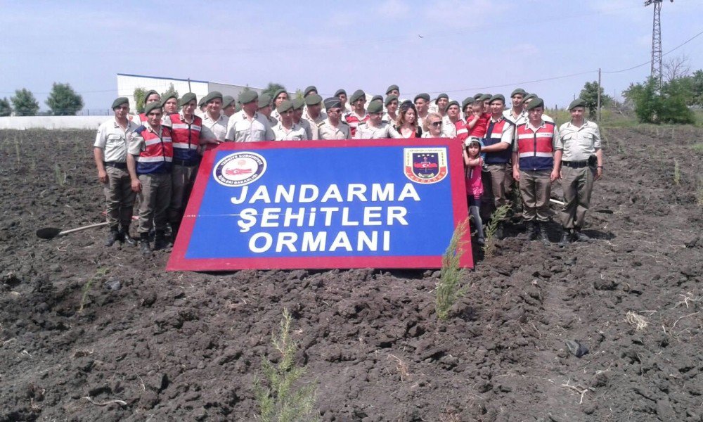 Jandarma Şehitler Adına Hatıra Ormanı Oluşturuyor