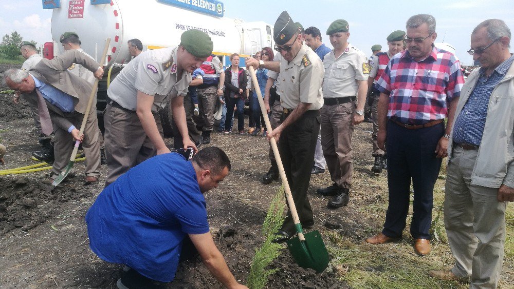 Jandarma Şehitler Adına Hatıra Ormanı Oluşturuyor