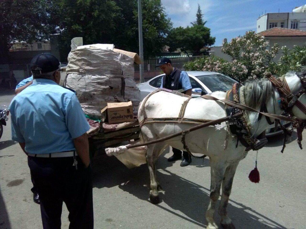 Kilis Belediyesi Zabıta Müdürlüğü Çalışmaları Sürüyor