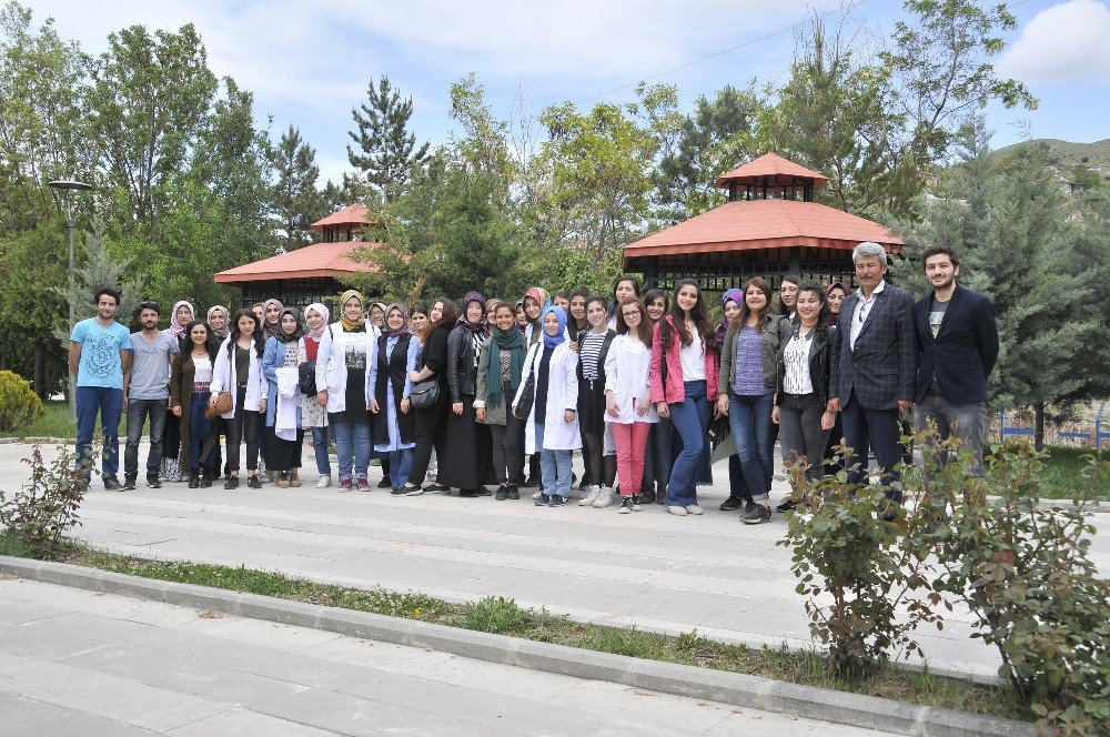 Mamak, Kutludüğün Yeşilleniyor