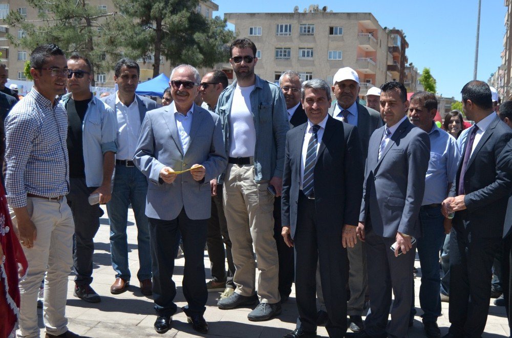 Mardin’de ‘Öğrenim Şenlikleri’ Başladı