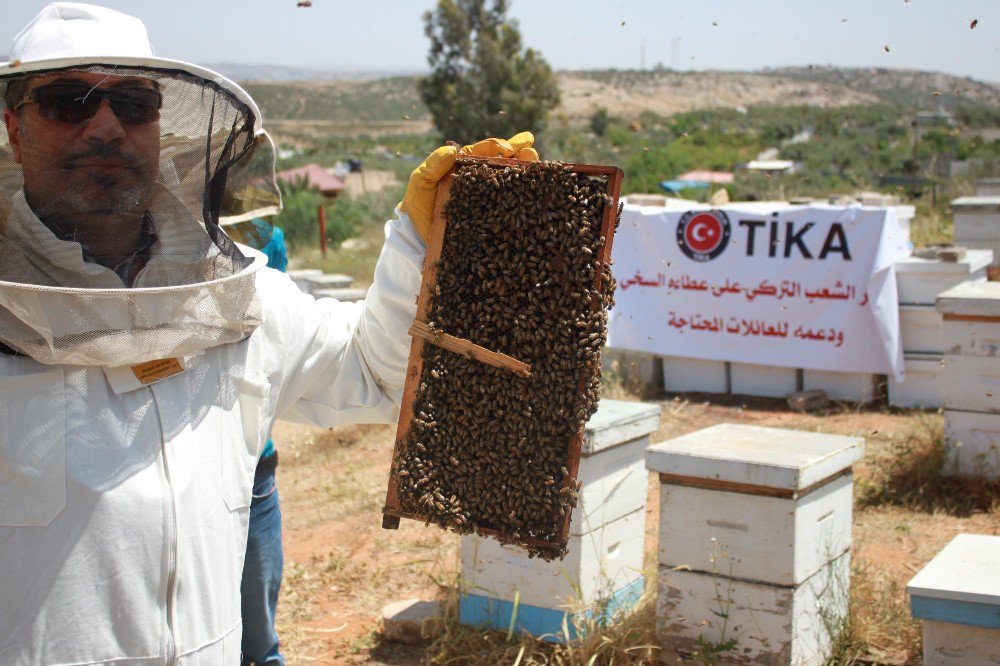 Tika’dan Filistin’de Ailelere Arıcılık Desteği