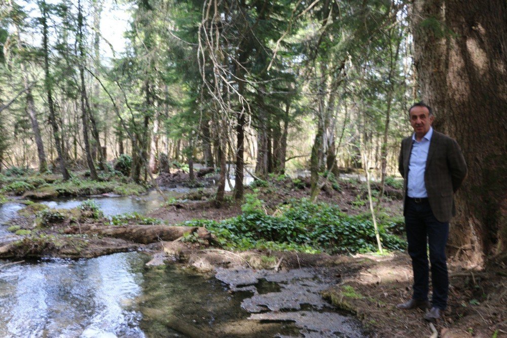 Kuzalan Tabiat Parkı Spor Turizmine Kazandırılacak