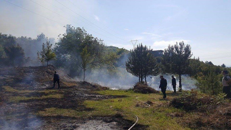 Otları Yakarken Ormanı Tutuşturdu