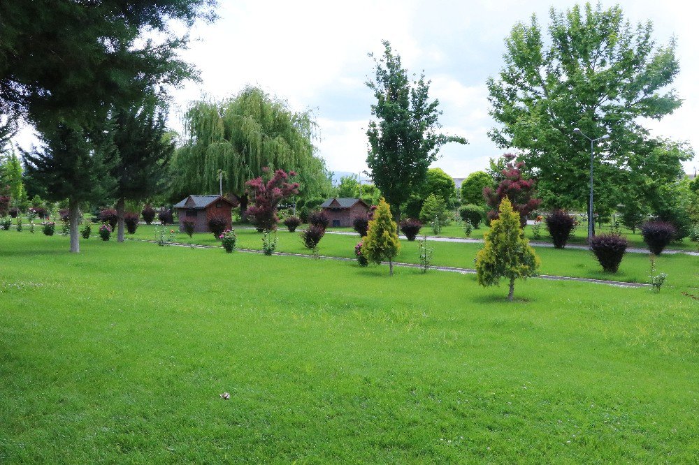 Şehir Mezarlığı Peyzajıyla Örnek Oluyor