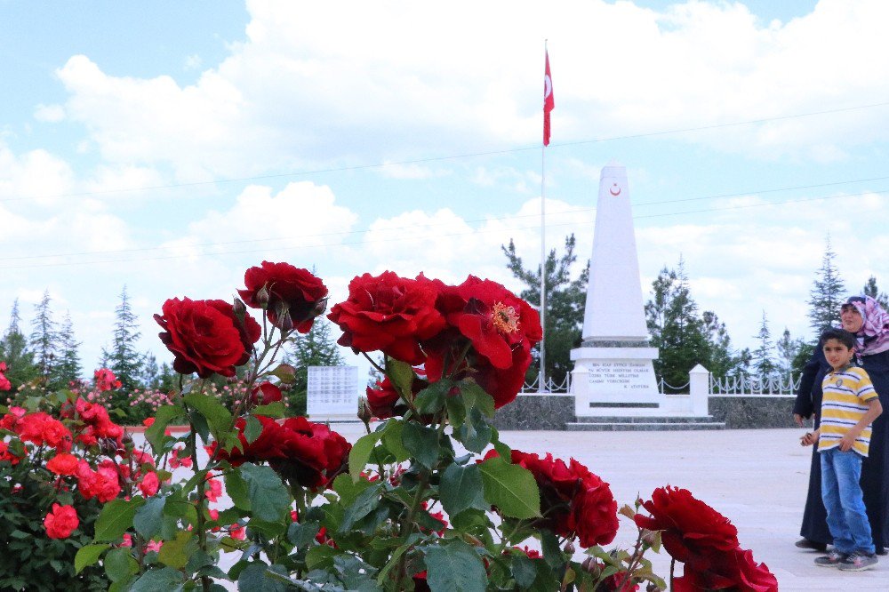 Şehir Mezarlığı Peyzajıyla Örnek Oluyor