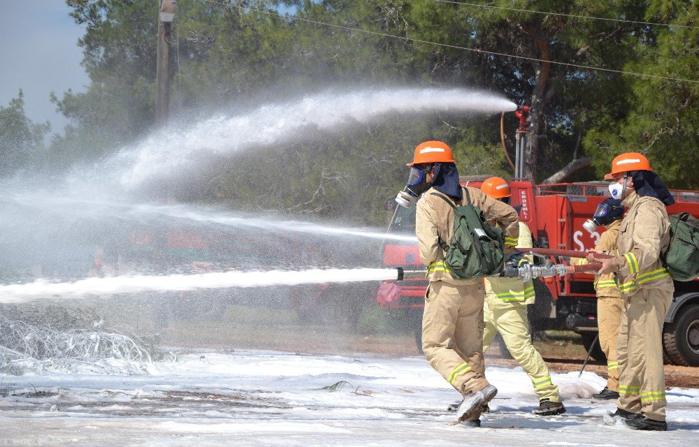 18 Ülkeden 35 Ormancı Mersin’de Yangın Tatbikatı Yaptı
