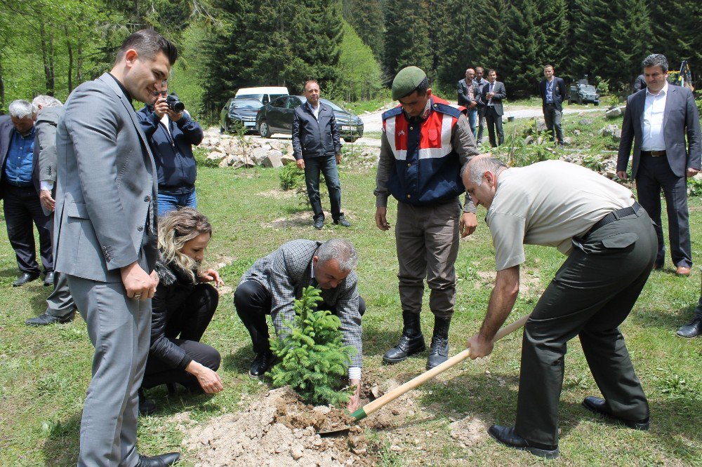 Rize’de Jandarmadan Şehitler Ormanı