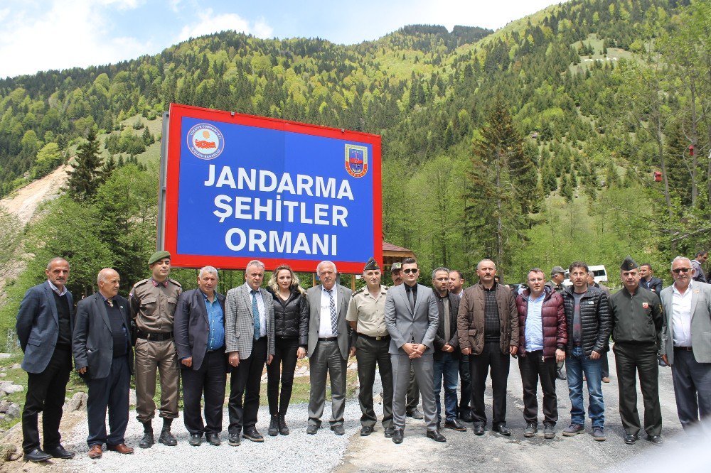 Rize’de Jandarmadan Şehitler Ormanı