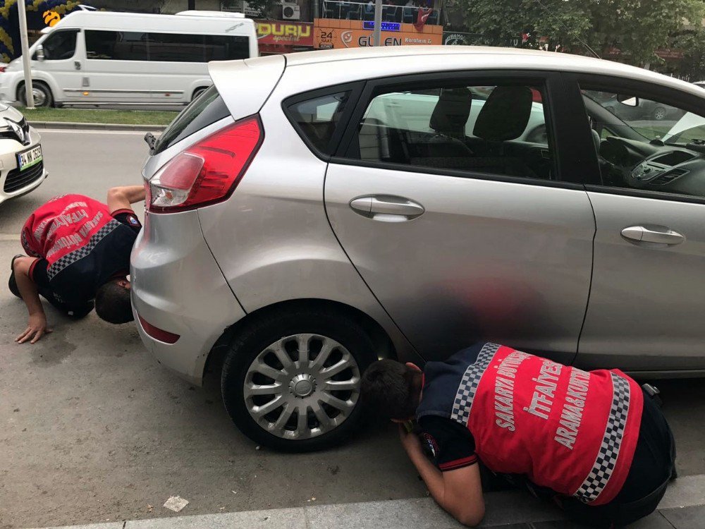 Park Halindeki Otomobilin Motoruna Sıkışan Kediyi İtfaiye Kurtardı