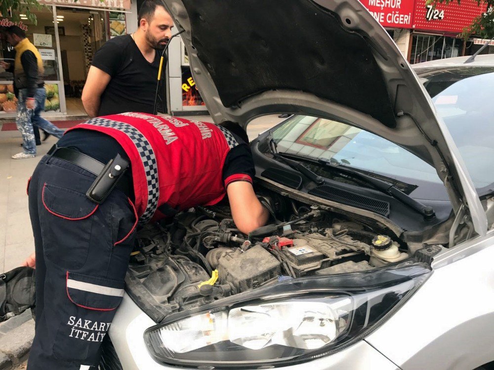 Park Halindeki Otomobilin Motoruna Sıkışan Kediyi İtfaiye Kurtardı