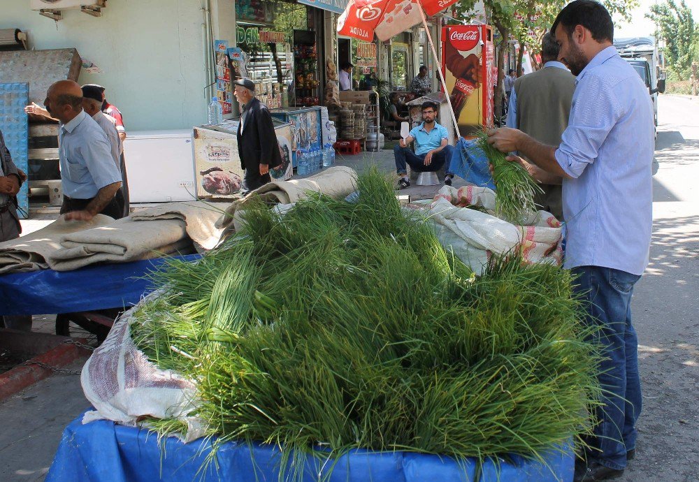 Siirt’e Özgü Peynir Otu Piyasaya Çıktı