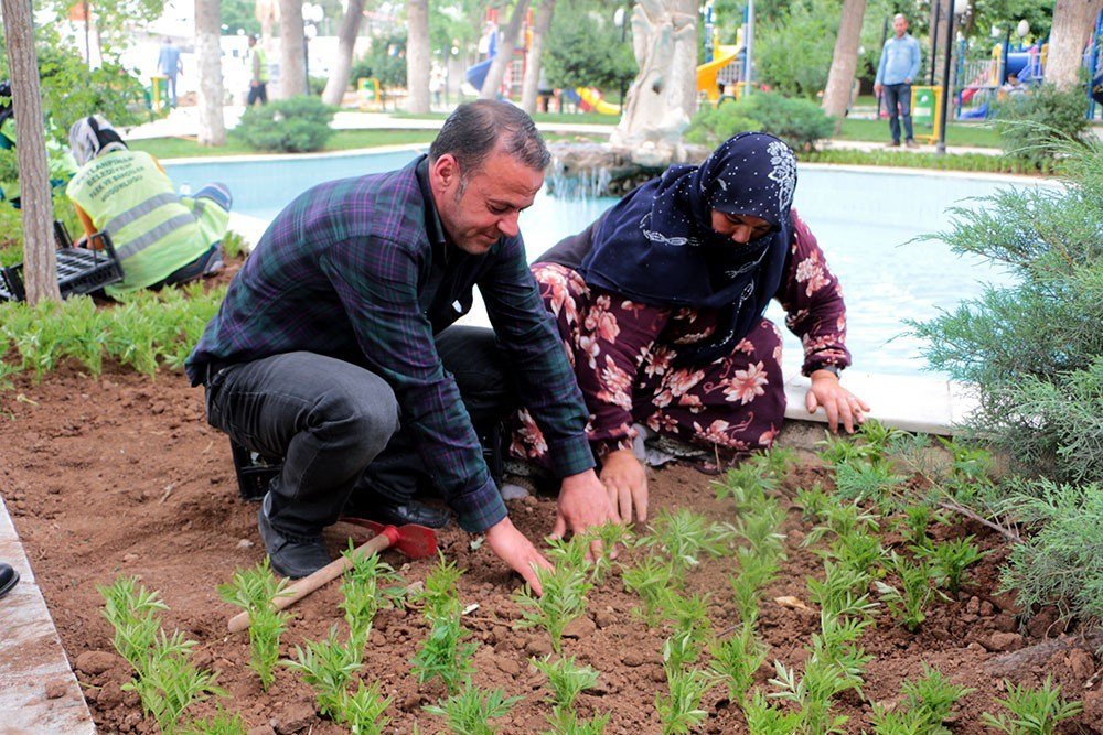 Sınırın Sıfır Noktasında Çiçek Ekimi