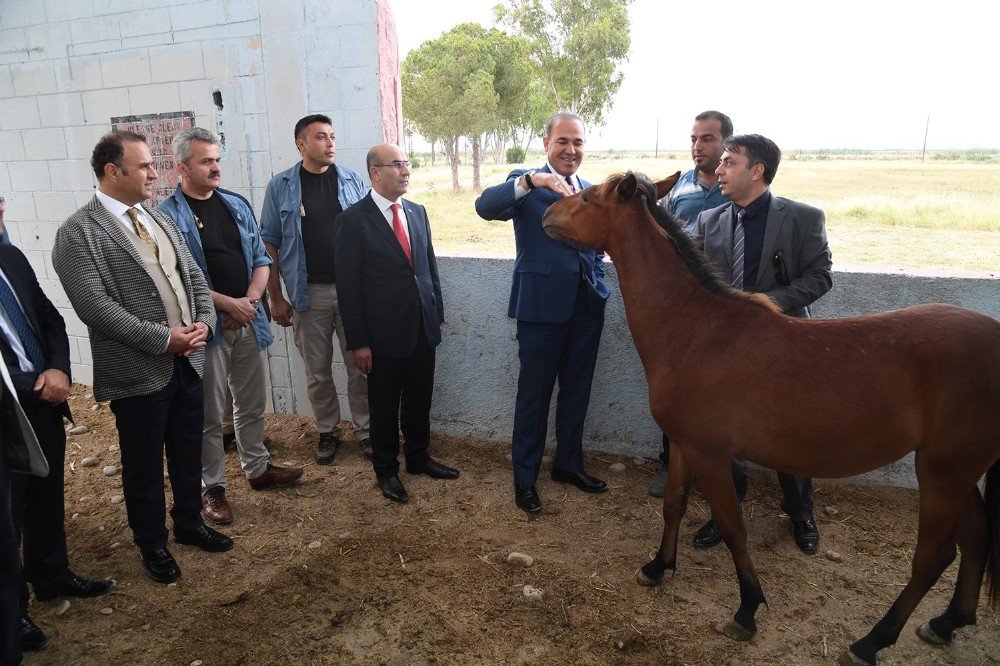 Avrupa’nın En Büyük "Engelsiz Yaşam Merkezi" Adana’da