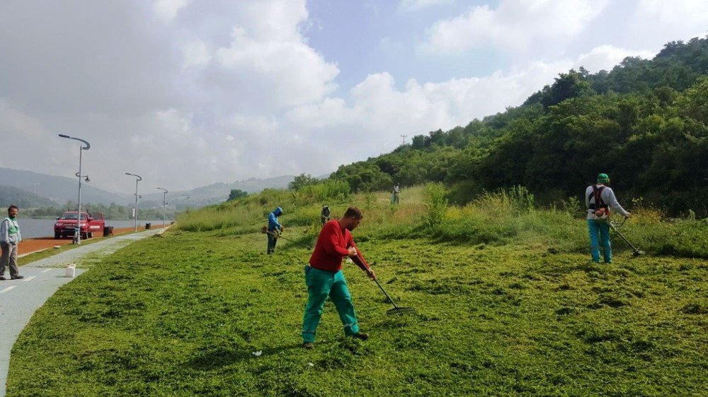 İzmit’te Mahalleler Tırpandan Geçiriliyor