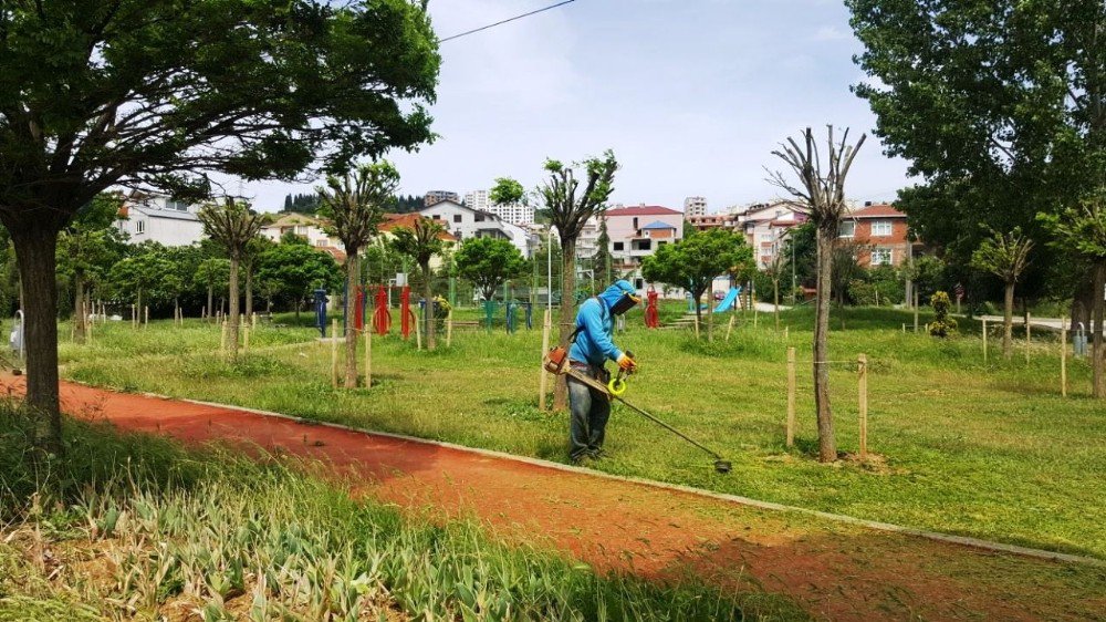 İzmit’te Mahalleler Tırpandan Geçiriliyor