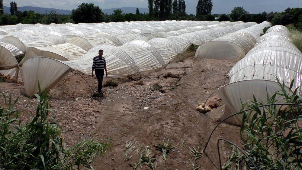 Sağanak Yağışla Gelen Sel Çilek Seralarına Zarar Verdi