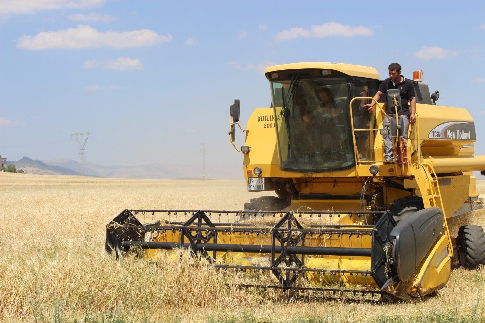 Adıyaman’da Hububat Hasadı Başladı