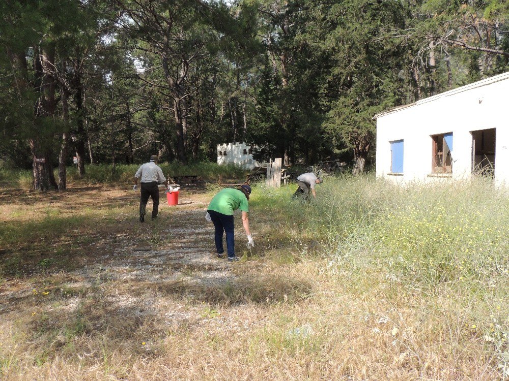 Milli Park Alanları Temizleniyor