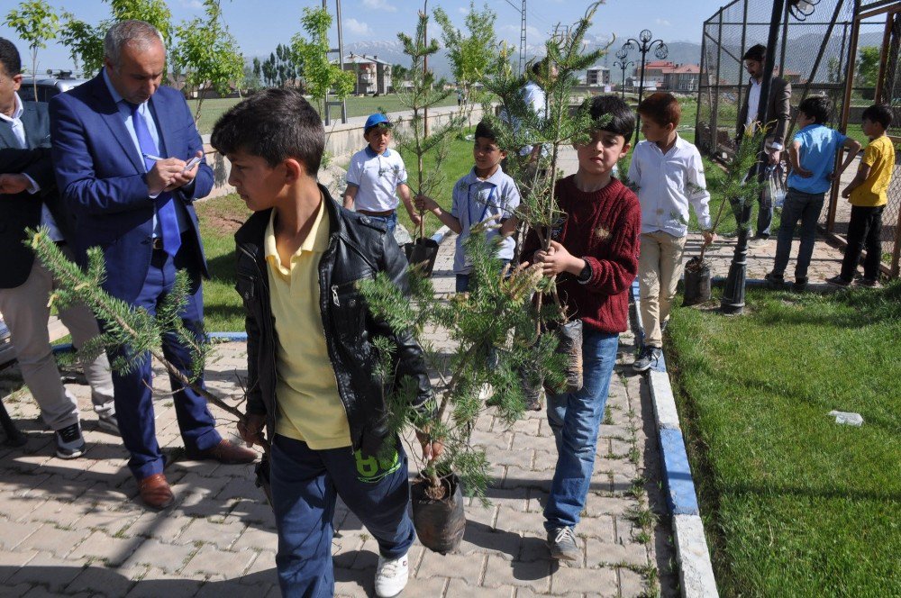 Yüksekova Belediyesi 13 Bin Fidan Dağıttı