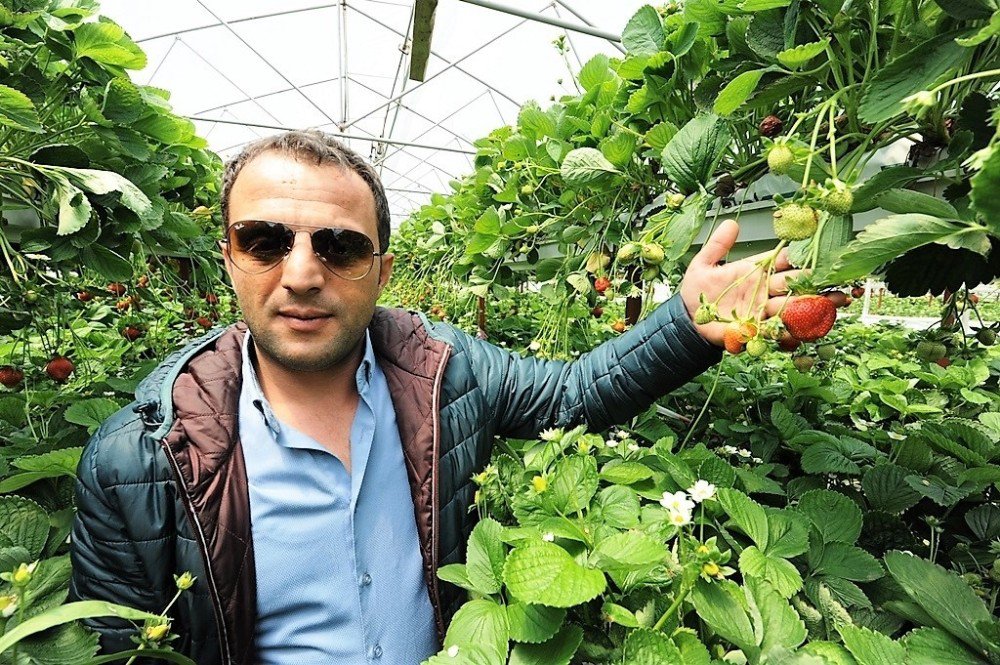 Büyükşehirden Destek Aldı, Hobisini Ticarete Dönüştürdü