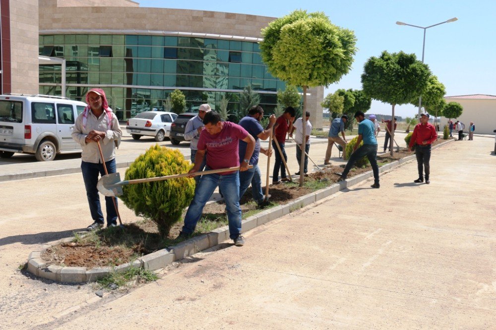 Akçakale Belediyesinde 108 Kişi İşbaşı Yaptı