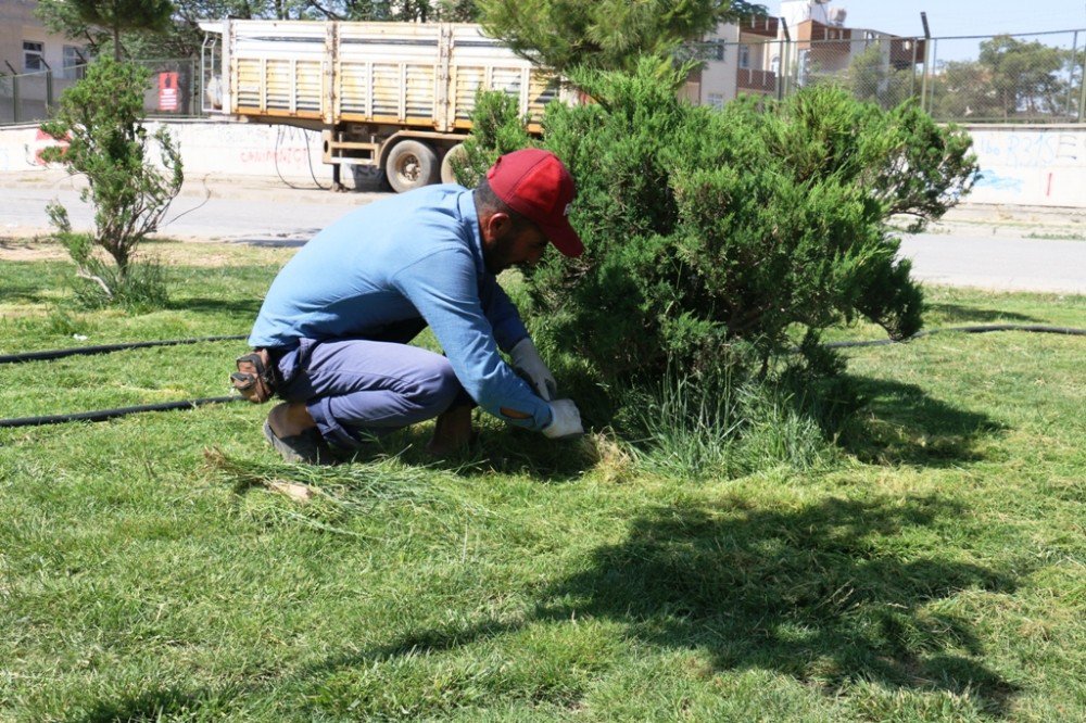 Akçakale Belediyesinde 108 Kişi İşbaşı Yaptı