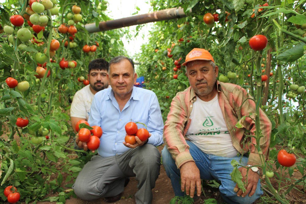 Kayhan: "Çiftçilerimiz Zararına Satış Yapmaktadır"