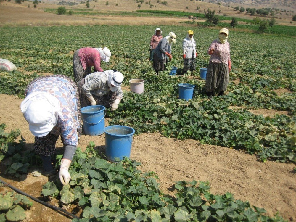 Çorum’daki Mevsimlik İşçilerin Yaşam Standartları Yükseltilecek