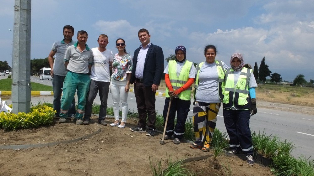 Burhaniye’ De Kavşakları Güzelleştiren Çiçekleri Kadınlar Dikiyor