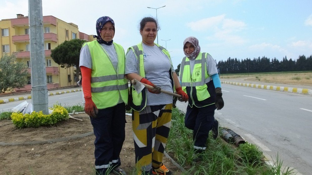 Burhaniye’ De Kavşakları Güzelleştiren Çiçekleri Kadınlar Dikiyor