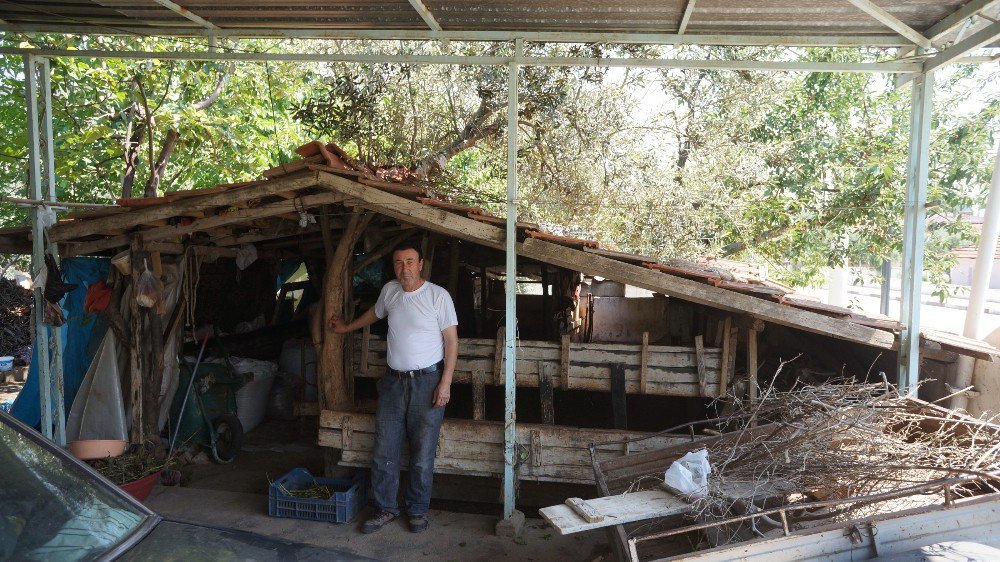 Kesmeye Kıyamadığı Ağaçlar Deponun İçinde Kaldı