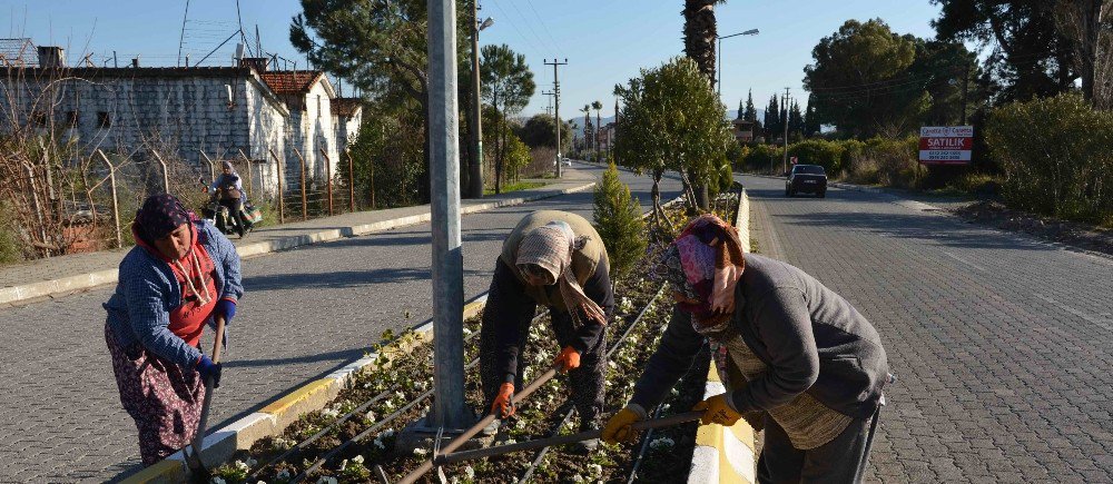 Köyceğiz’de Mevsimlik Çiçek Dikimi