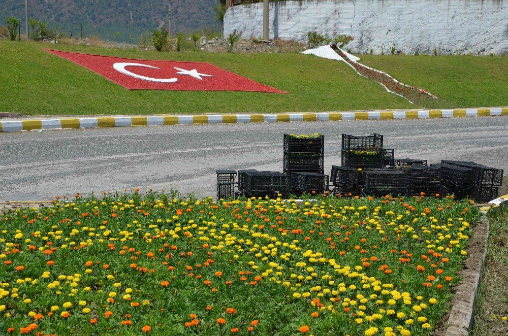 Köyceğiz’de Mevsimlik Çiçek Dikimi