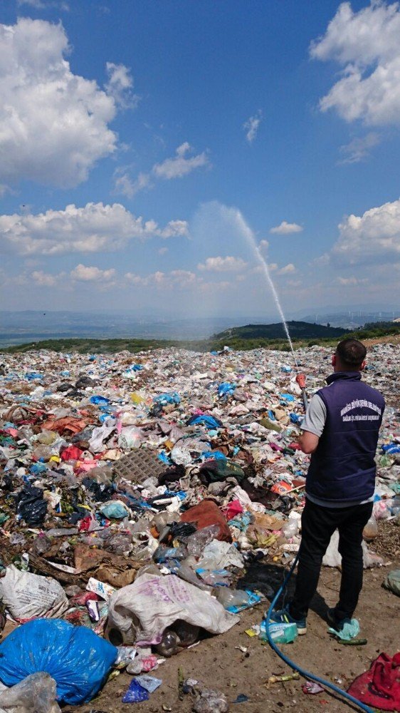 Kırkağaç Çöplüğü Haşerelere Karşı İlaçlandı