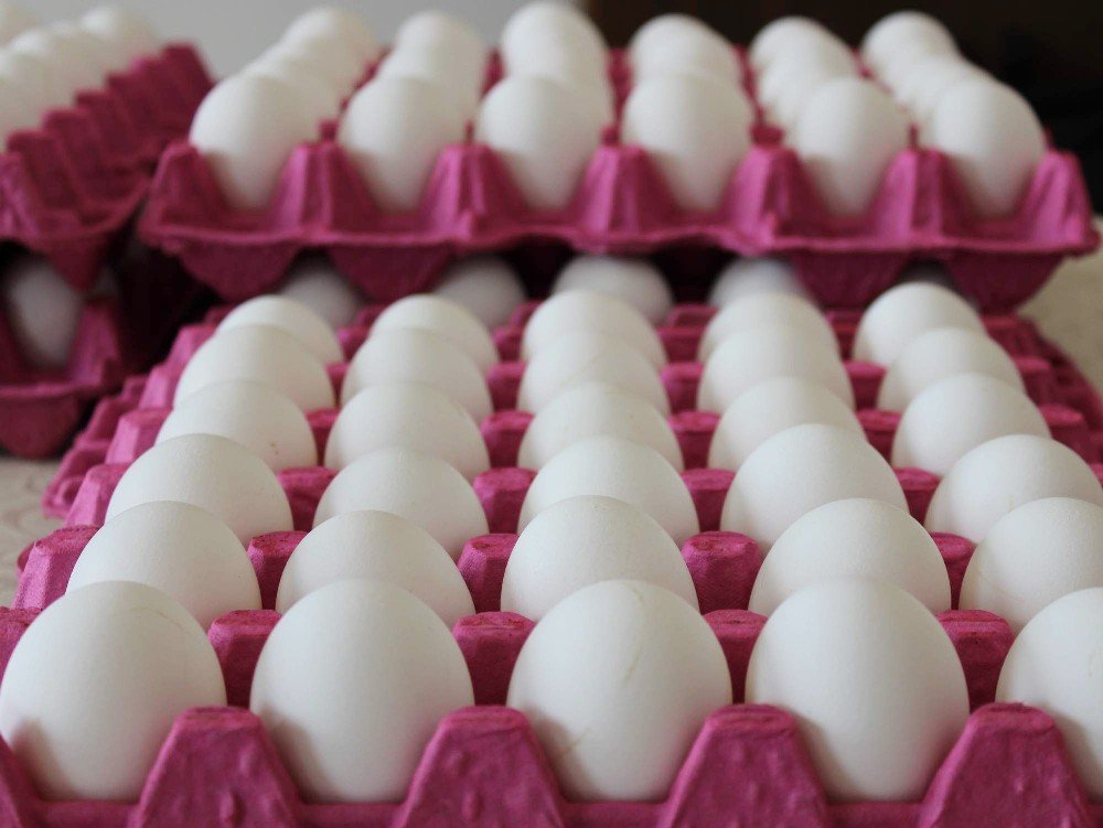 Yumurta Sektörü Krizle Karşı Karşıya