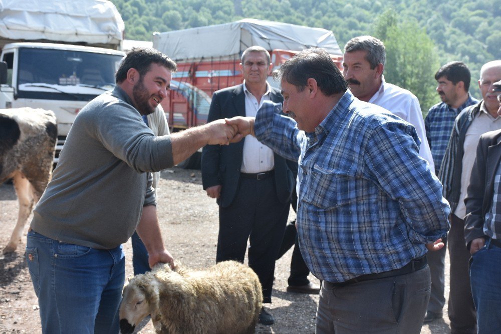 Kızılcahamam’da Canlı Hayvan Pazarı Açıldı