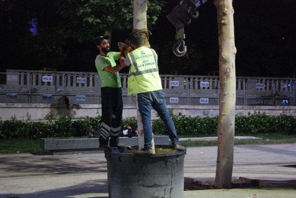 Taksim Meydanı Ağaçlandırma Çalışmaları Sona Erdi