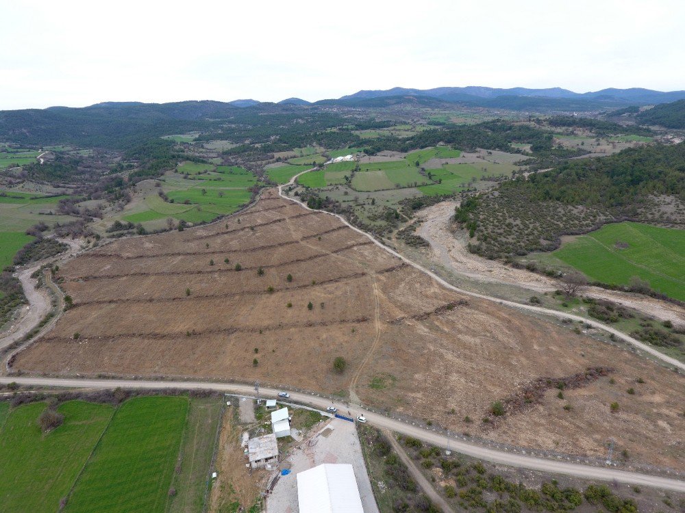 Kastamonu’da 200 Dekarda Ceviz Ve Badem Dikildi