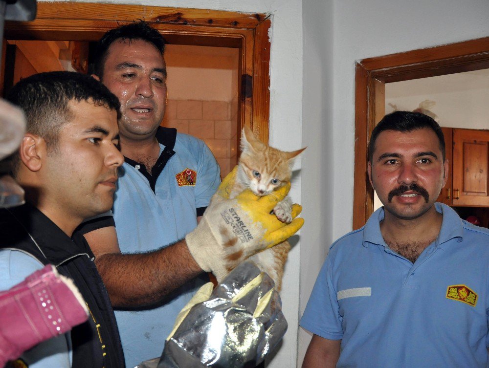 Havalandırma Boşluğuna Düşen Kedi Operasyonla Kurtarıldı