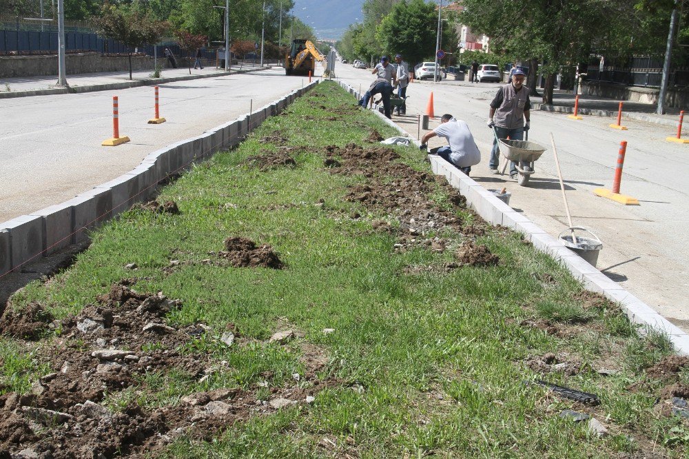 Ordu Caddesinde Refüj Yenileme Çalışmaları