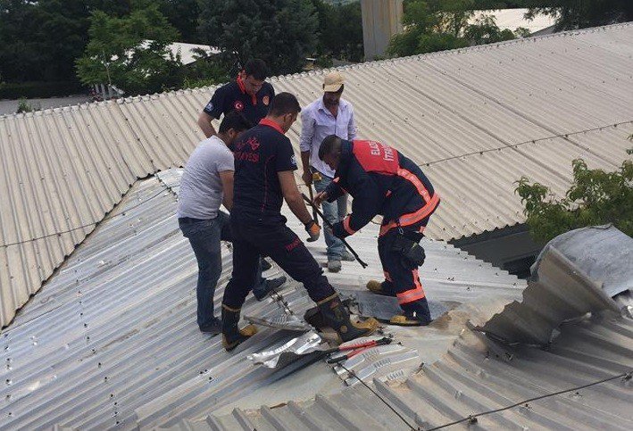 Elazığ’da Çatıya Sıkışan Şahsı İtfaiye Kurtardı