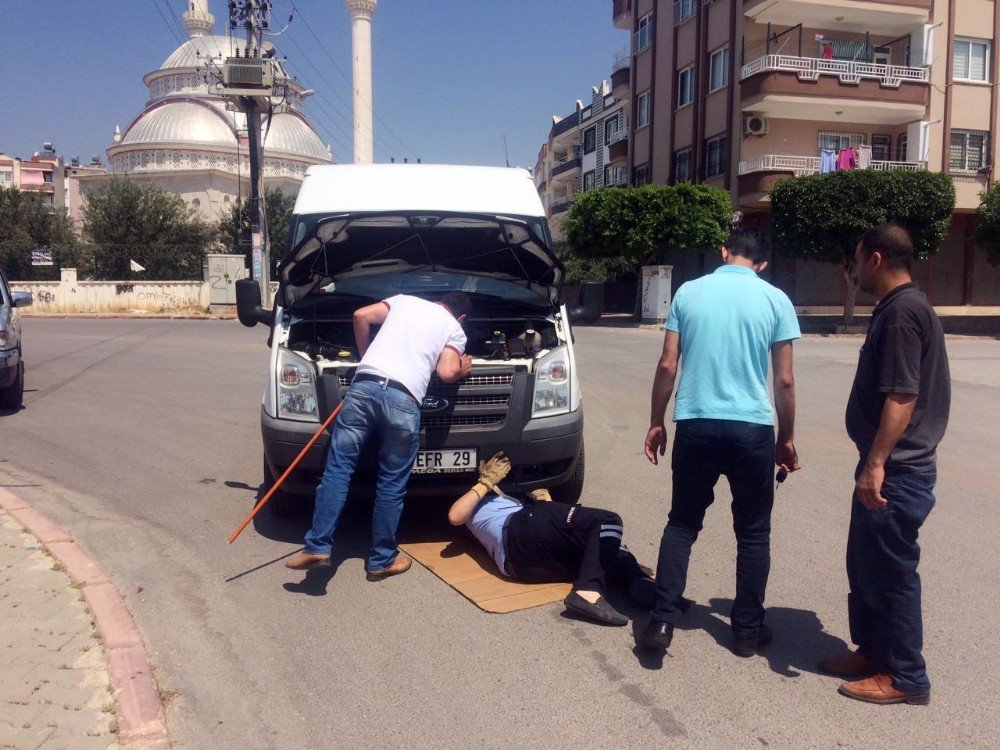 Aracın Motoruna Giren Yavru Kedi Sürücüye Zor Anlar Yaşattı