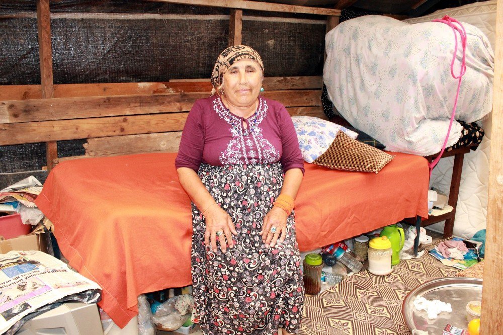 60 Yaşındaki Kadın Tahta Barakada Yaşam Savaşı Veriyor