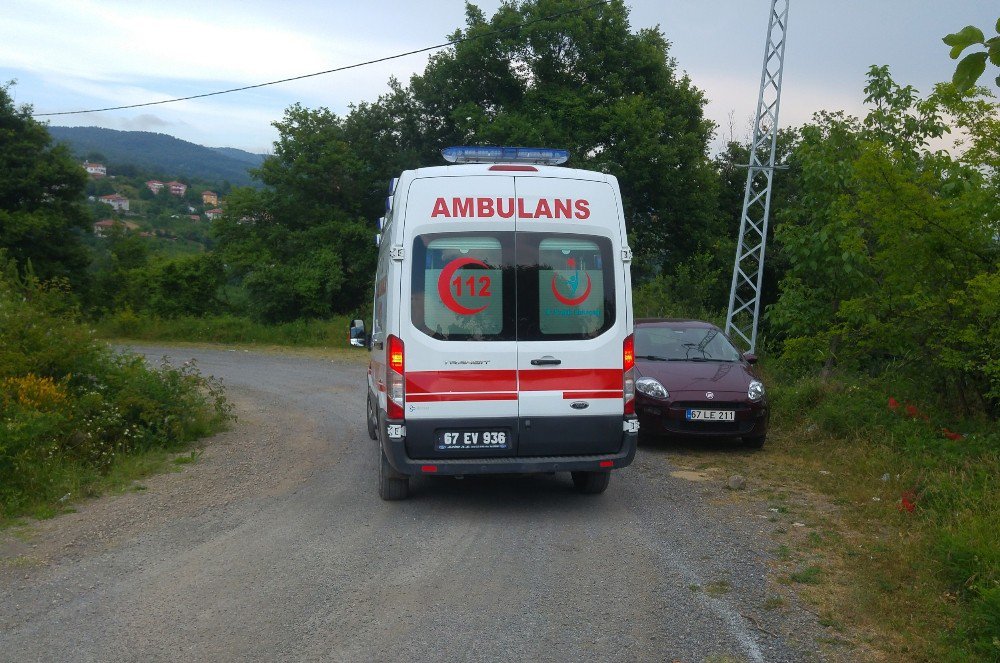 Yere Düşen Tüfeğin Ateş Alması Sonucu Vuruldu