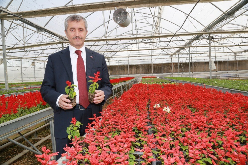 Belediye Başkanı Tahmazoğlu Dünya Çevre Gününü Kutladı