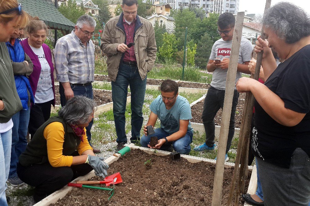 Çankaya’da Bostan Keyfi