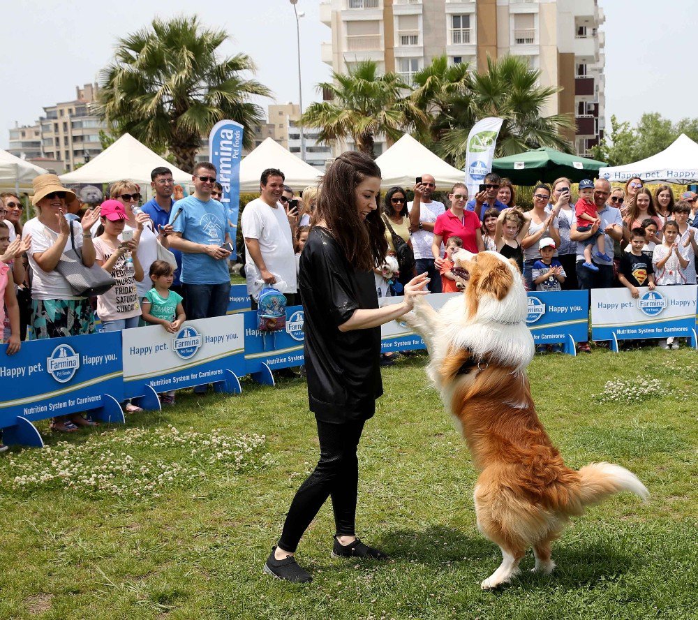 Köpekler Podyuma Çıktı