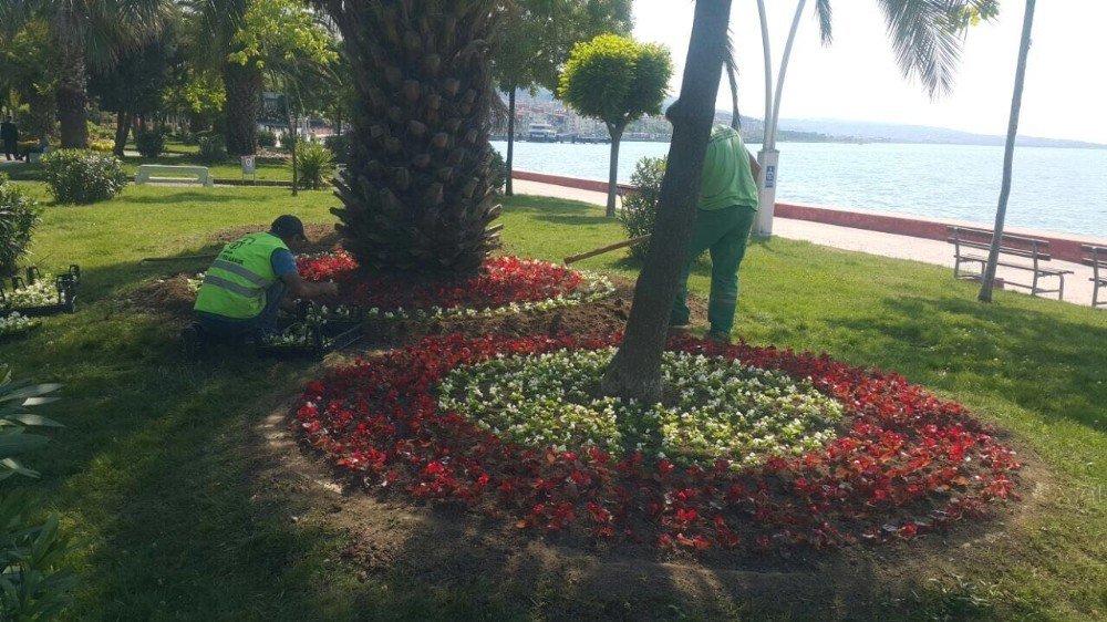 Kocaeli Sahilleri Çiçeklerle Süsleniyor