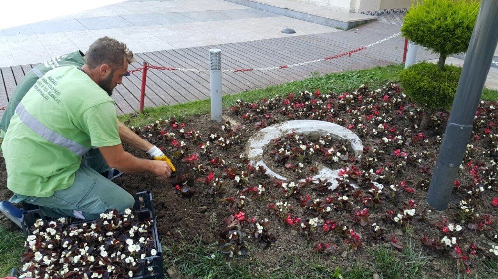 Kocaeli Sahilleri Çiçeklerle Süsleniyor